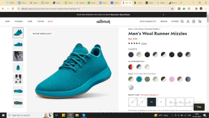 Allbirds